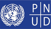 Programa de las Naciones Unidas para el Desarrollo (PNUD)