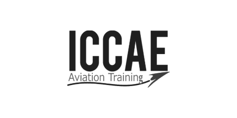 Logo de ICCAE