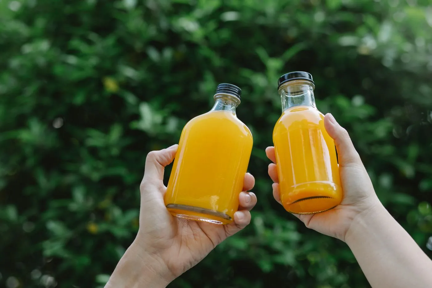 Dos botellas de jugo de naranja sostenidas frente a un fondo verde